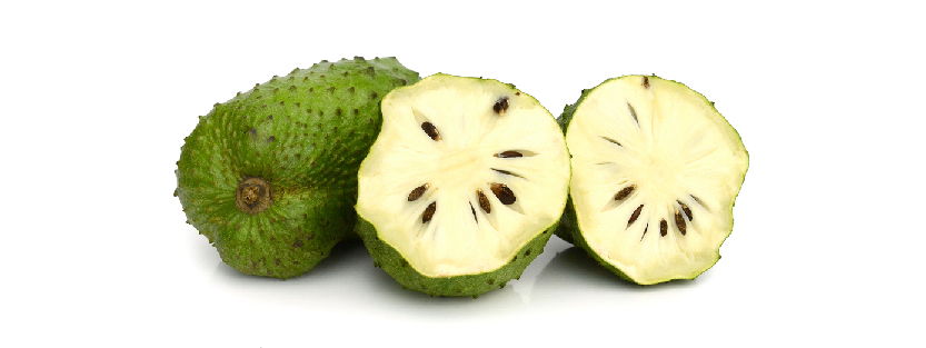 240314 WEBSITE SOURSOP-04