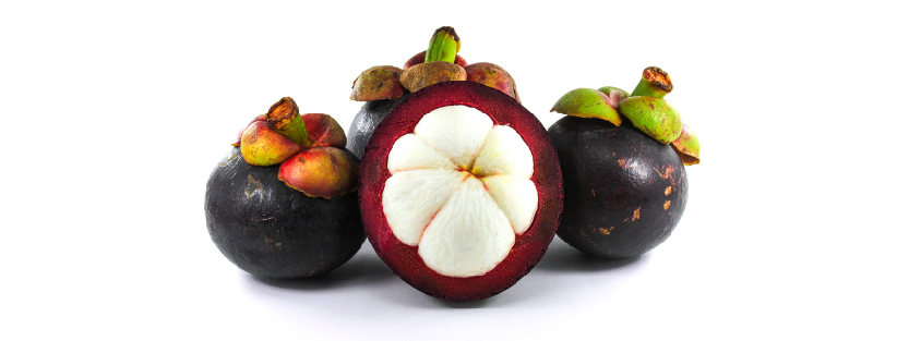 240314 WEBSITE SOURSOP-05