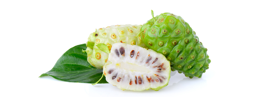 240314 WEBSITE SOURSOP-07