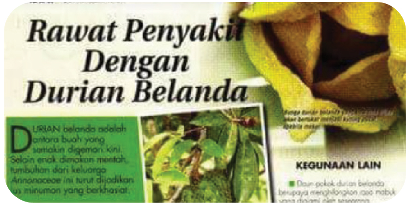 240326 WEBSITE SOURSOP2-04